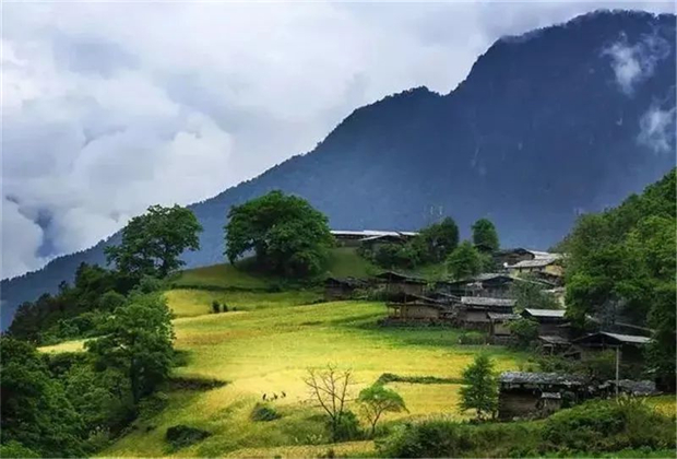 怒江會(huì)議旅游：一路向北，沿江尋大美怒江