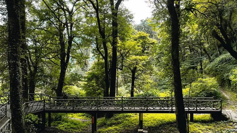怒江活動(dòng)策劃：有一種生活叫云南的怒江丨一起去姚家坪，上一堂自然課